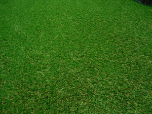 VD4 Green Deluxe